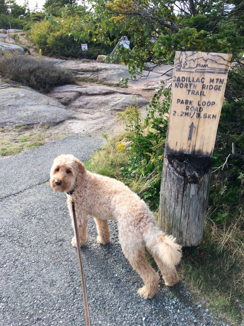UJ-Maine-hiking